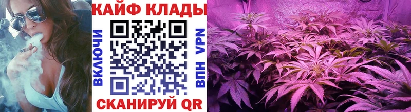 Купить закладку Гашиш  Кокаин  Alpha-PVP  МАРИХУАНА  Псилоцибиновые грибы  Мефедрон  Анжеро-Судженск