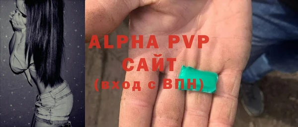 прущие грибы Баксан
