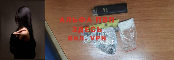 прущие грибы Баксан