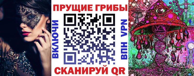 Купить закладки  Анжеро-Судженск  Псилоцибиновые грибы MAGIC MUSHROOMS 